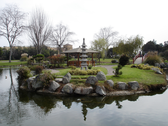 Jardín Kyoto Bonsai