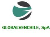 Logo GLOBAL VENCHILE, SPA