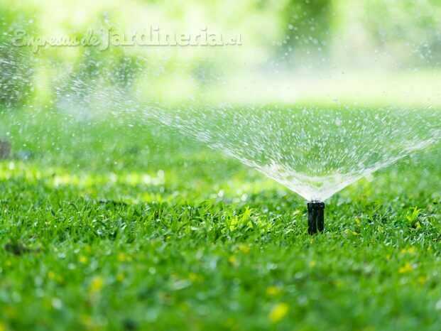 automatic-garden-lawn-sprinkler-in-action-watering-grass-scaled.jpg