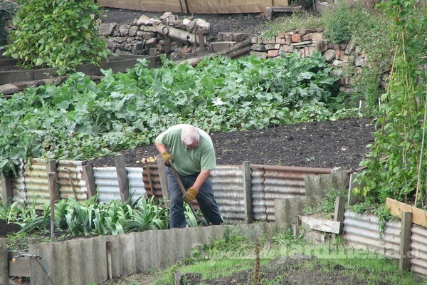 Valparaíso tiene los jardineros y paisajistas más solicitados a nivel nacional