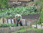 Valparaíso tiene los jardineros y paisajistas más solicitados a nivel nacional