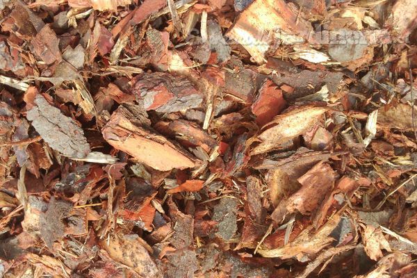 Mulch, la revolución de color y ahorro que Agreste lleva a tu jardín