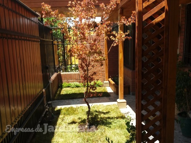 Pequeño jardín, treelage, pasto, jardinera y arbustos