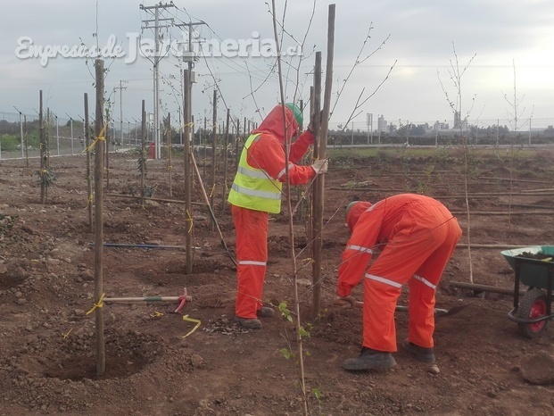 Construcción y Mantención de jardines.