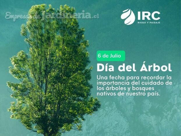 día del arbol.jpg