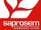 Saprosem