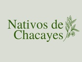 Nativos de Chacayes