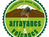 Entre Arrayanes Y Volcanes