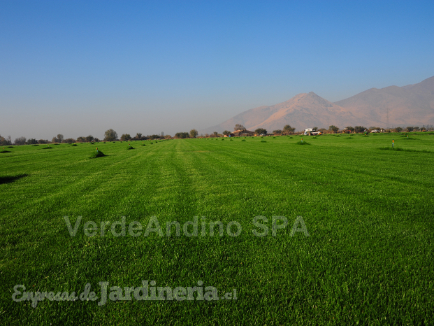 VerdeAndino SpA, centro de producción Lipangue