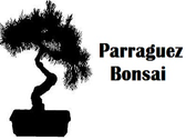 Logo Parraguez Bonsai