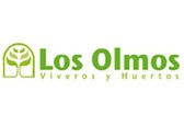 Los Olmos