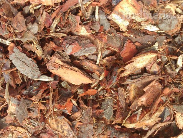 Mulch corteza de pino