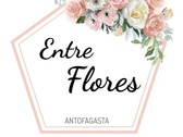 Floreria Entre Flores Antofagasta