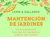 Lepin & Gallardo Manténcion de Jardines