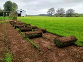 AGRICOLA Y PAISAJISMO VENTA DE SEMILLAS PARA JARDIN