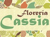 Florería Cassia