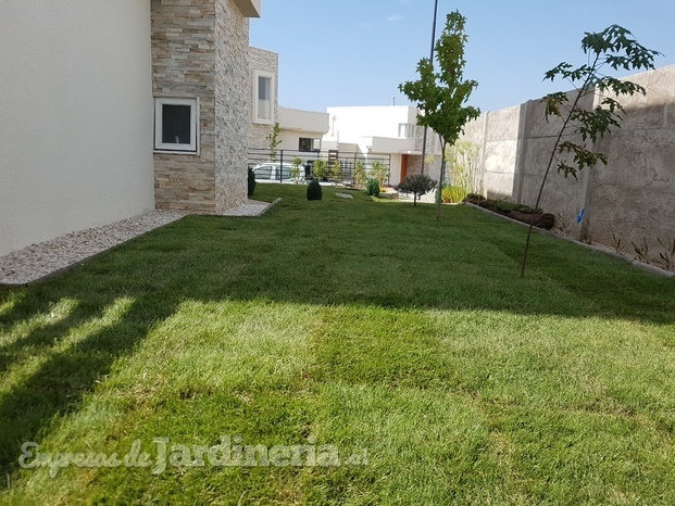 sistema de riego residencial, Arboles e instalación de cesped en rollo