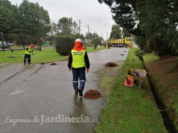 Areas verdes