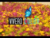 Vivero Color Limache