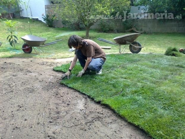 Instalación de pasto en Rollo