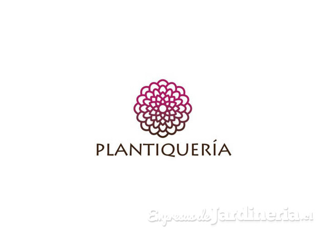 plantiqueria imagen