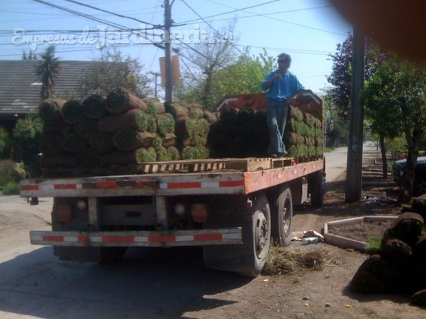 instalacion de pasto