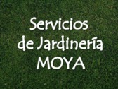 Servicios de Jardinería Moya