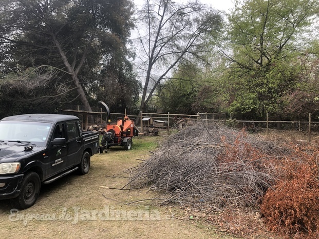 Retiro de material vegetal