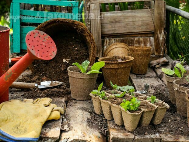 Potgarden_Maceteros biodegradables de Turba Vegetal y Fibra de coco