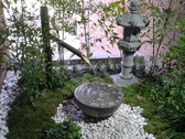 Tsubo Niwa, Jardines Japoneses