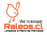 RALEOS.CL  SERVICIOS