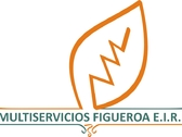 Multiservicios Figueroa E.I.R.L..