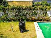 Vivero virtual newen