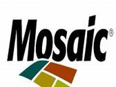 Mosaic Fertilizantes