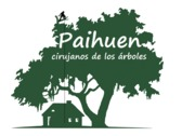 Paihuen