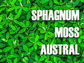 Sphagnum Moss Austral