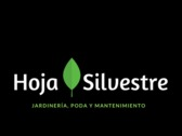 Hoja Silvestre