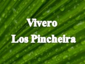 Vivero Los Pincheira