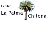 Jardin La Palma Chilena