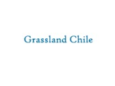 Grassland Chile