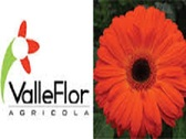 Valle Flor