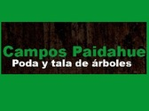 Campos Paidahue