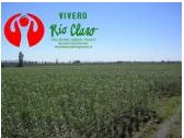 Vivero Río Claro