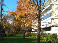 Mantención de Jardines