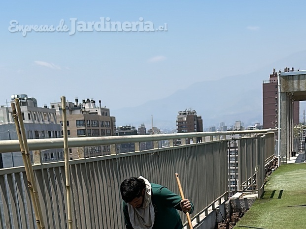 Paisajismo azoteas 