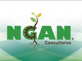 Ngan Consultores