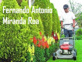 Fernando Antonio Miranda Roa