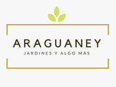Proyectos Araguaney Spa