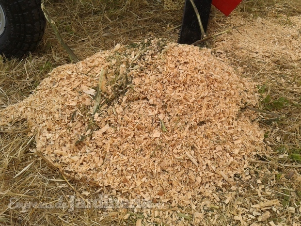 Chipeado de material orgánico seco (desechos de poda)