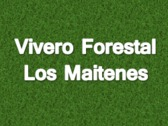 Vivero Forestal Los Maitenes